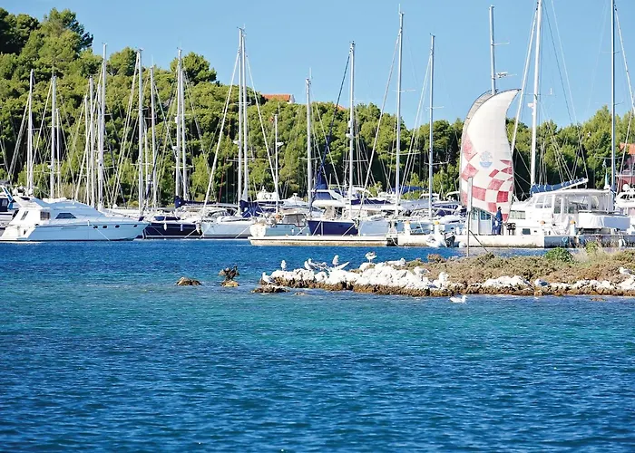 Lejlighed Stunning In